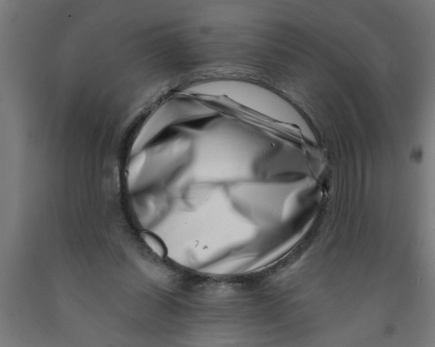 X0000090870254200708241926