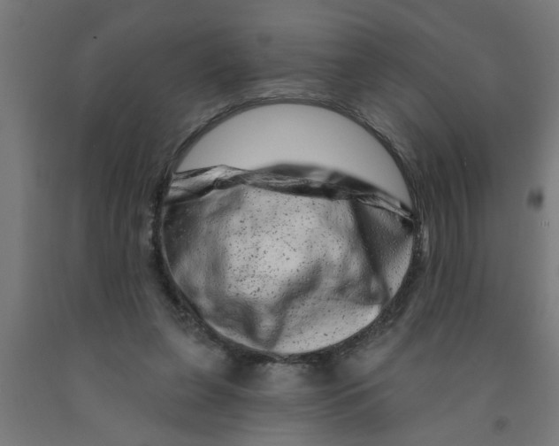 X0000090870255200708241926