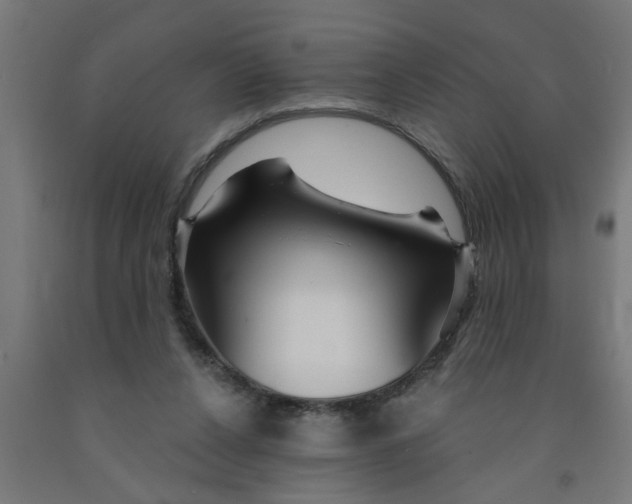 X0000090870256200708241926