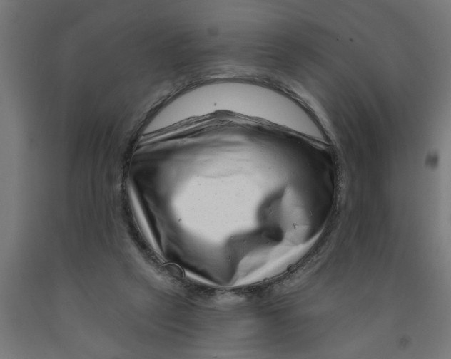 X0000090870257200708241926