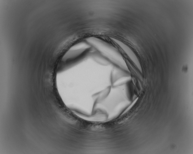 X0000090870258200708241926