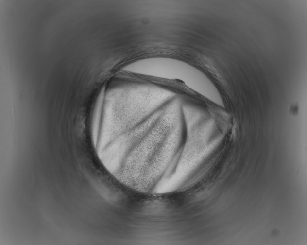 X0000090870259200708241926