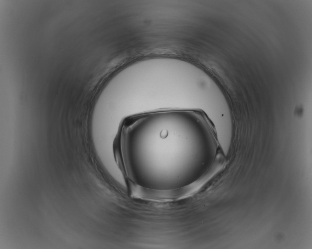 X0000090870260200708241926
