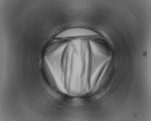 X0000090870261200708241926