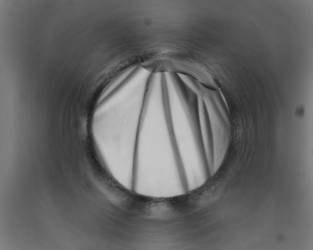 X0000090870262200708241926