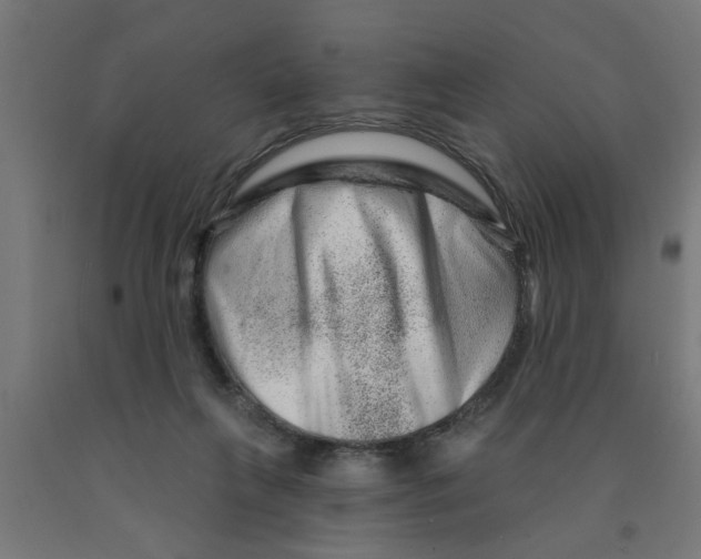 X0000090870263200708241926