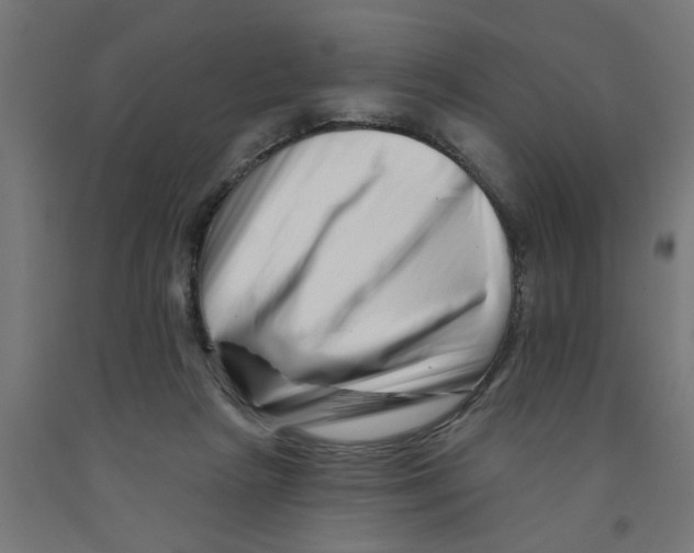 X0000090870265200708241926