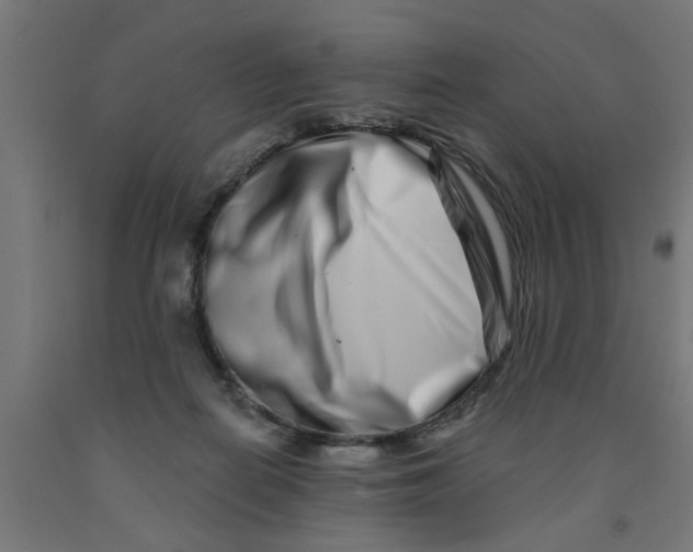 X0000090870266200708241926