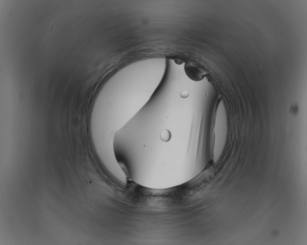 X0000090870268200708241926