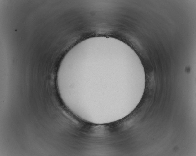 X0000090870269200708241926