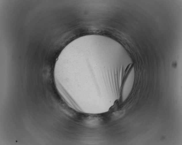 X0000090870270200708241926