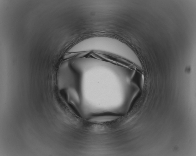 X0000090870272200708241926