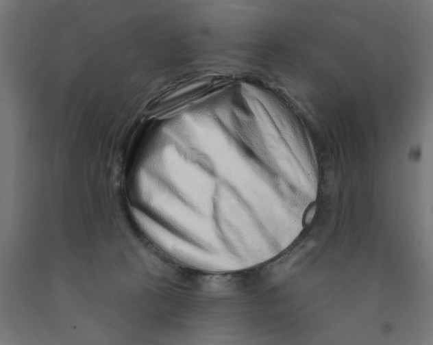 X0000090870273200708241926
