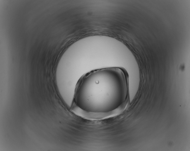 X0000090870276200708241926