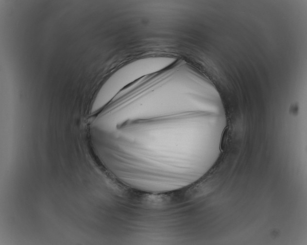 X0000090870277200708241926