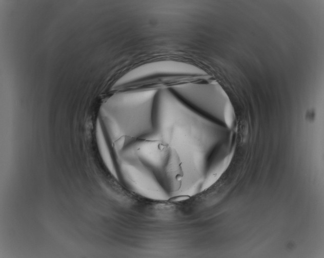 X0000090870279200708241926