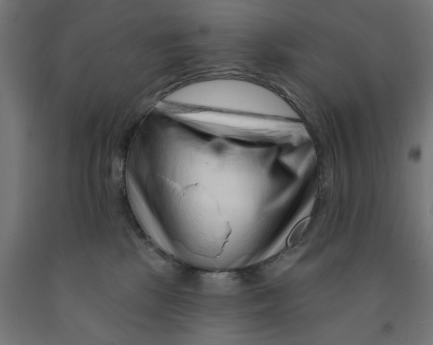 X0000090870281200708241926