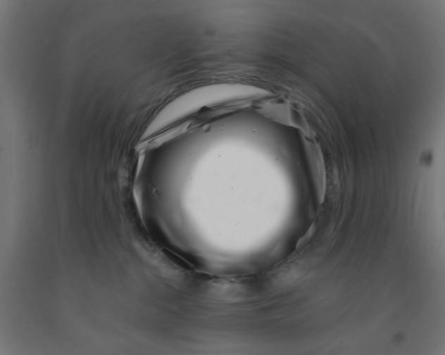 X0000090870284200708241926