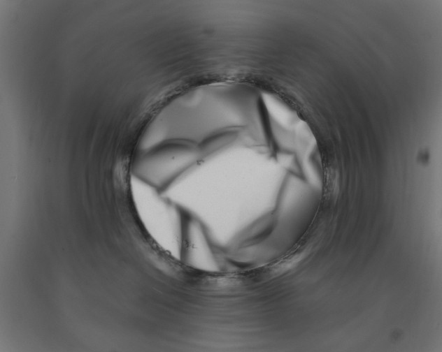 X0000090870286200708241926