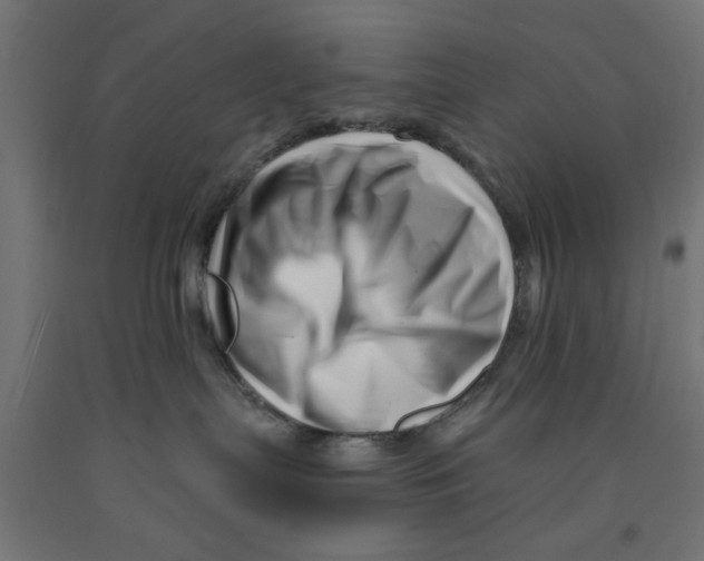 X0000090870287200708241926
