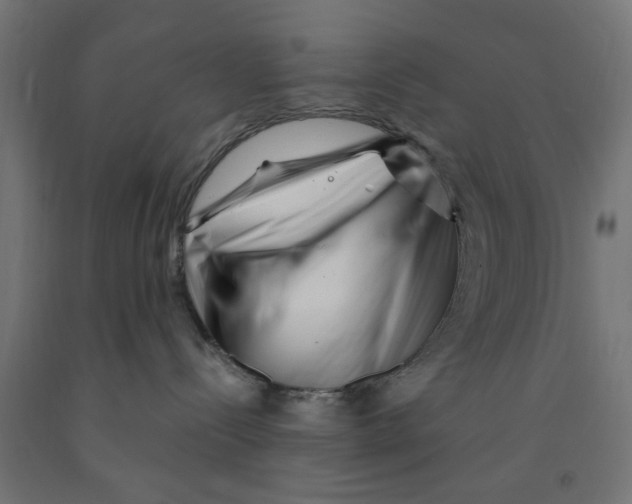 X0000090870288200708241926