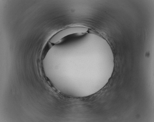 X0000090870289200708241925