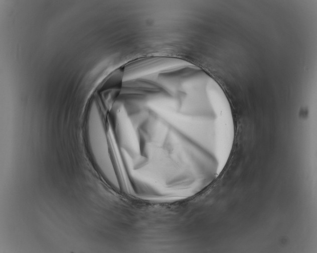 X0000090870290200708241925