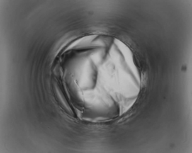 X0000090870291200708241925