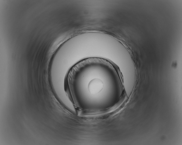 X0000090870293200708241925