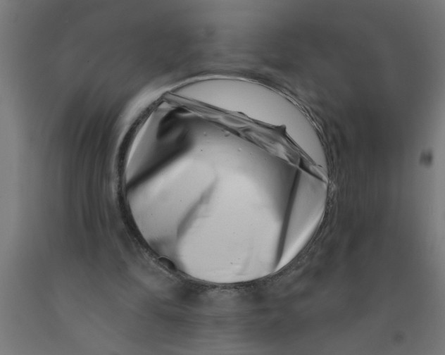 X0000090870294200708241925