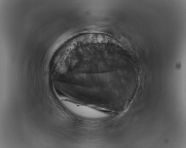 X0000090870295200708241925