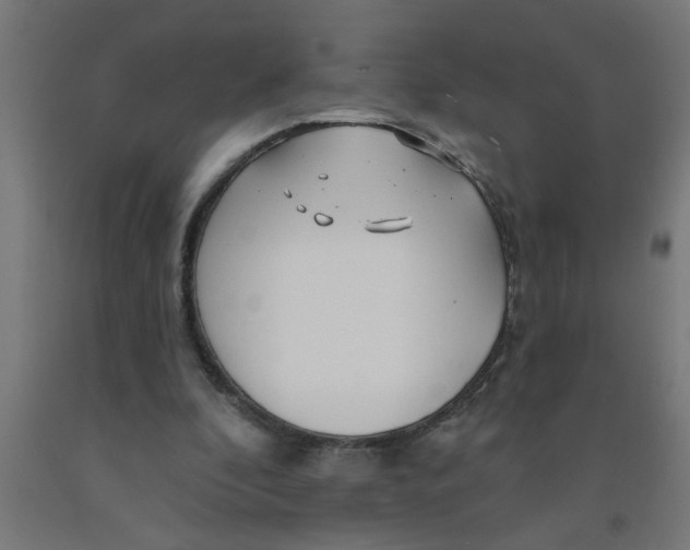 X0000090870296200708241925