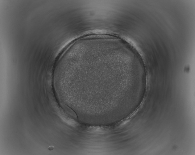 X0000090870297200708241925