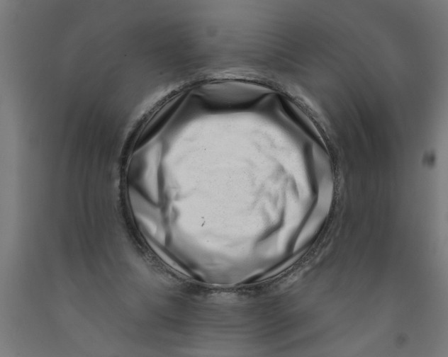 X0000090870298200708241925