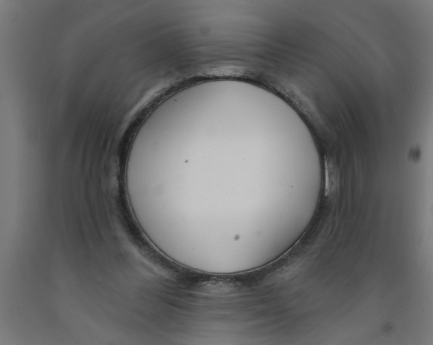 X0000090870300200708241925