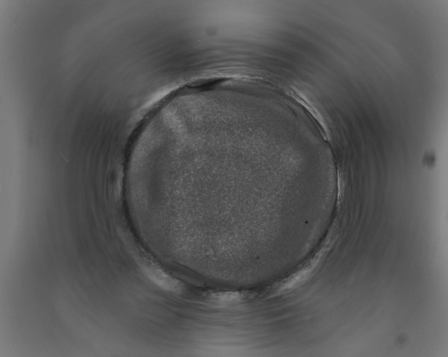 X0000090870301200708241925