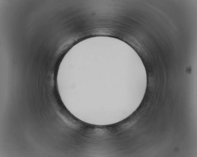 X0000090870302200708241925