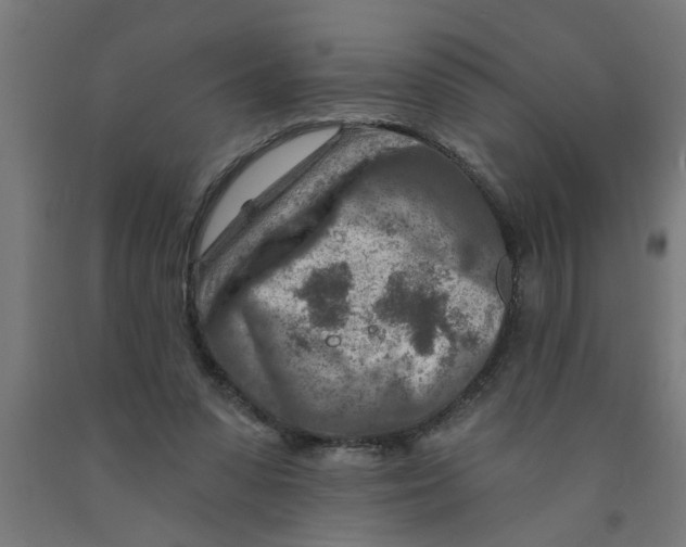 X0000090870303200708241925