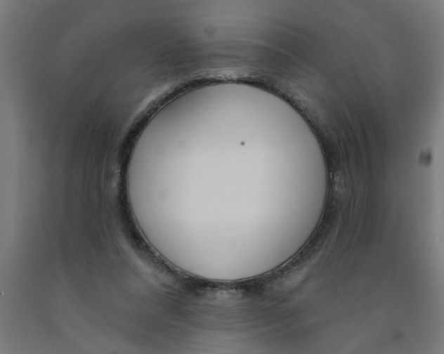 X0000090870304200708241925