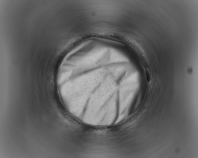 X0000090870306200708241925