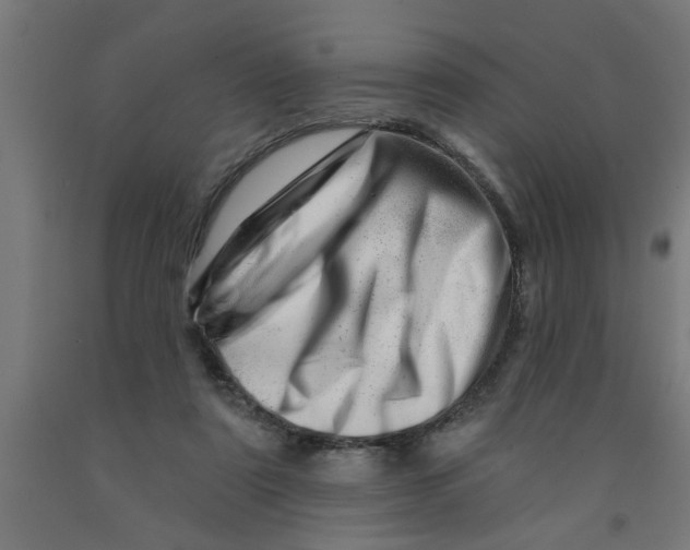 X0000090870307200708241925