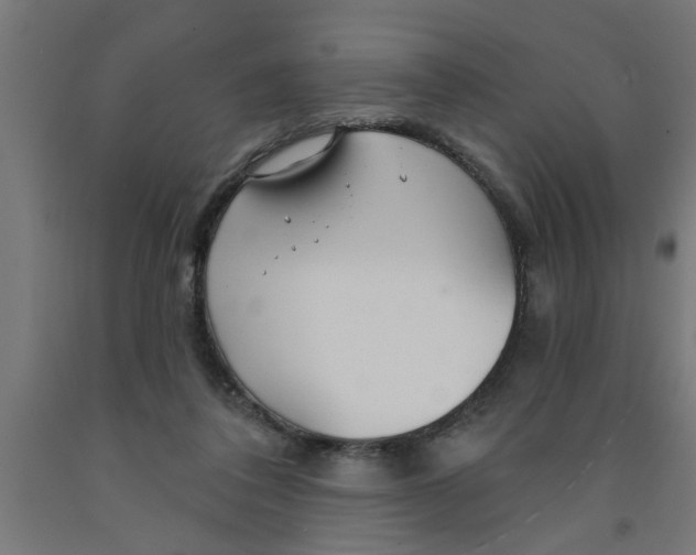 X0000090870308200708241925