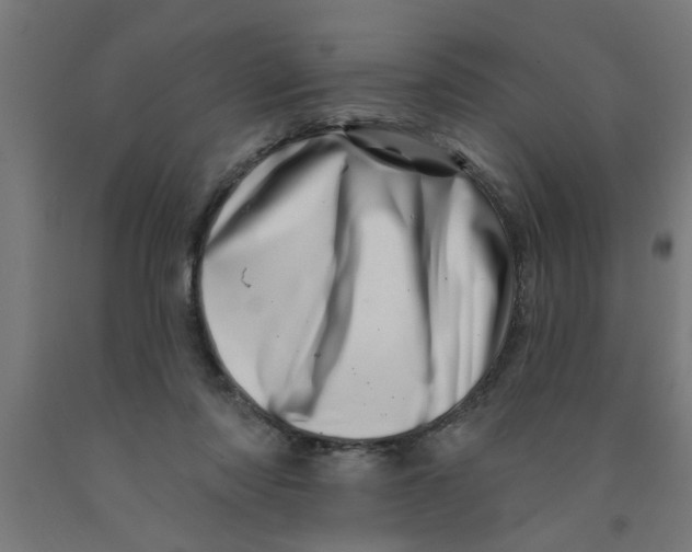 X0000090870310200708241925