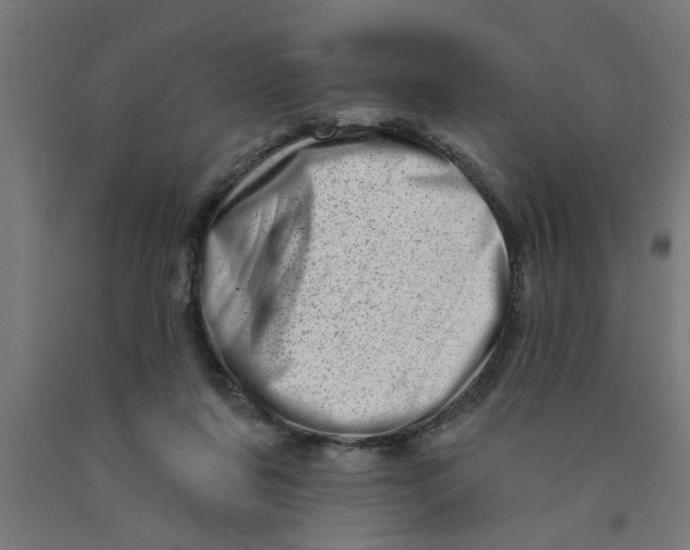 X0000090870311200708241925