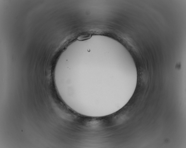X0000090870312200708241925