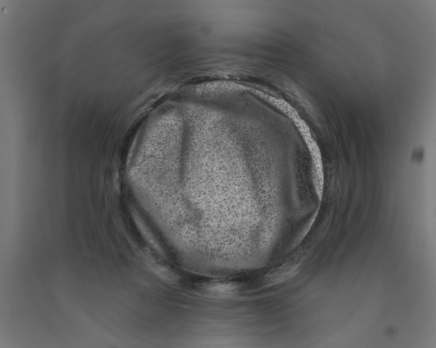 X0000090870313200708241925