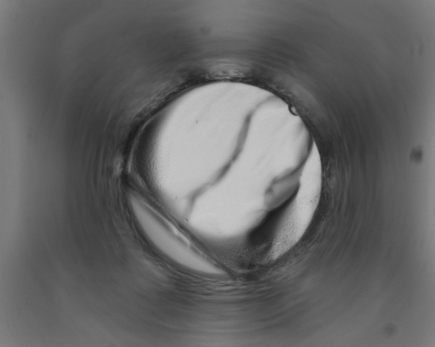 X0000090870315200708241925