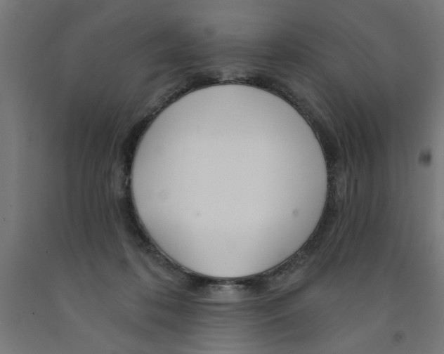 X0000090870316200708241925