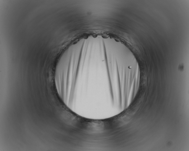 X0000090870317200708241925