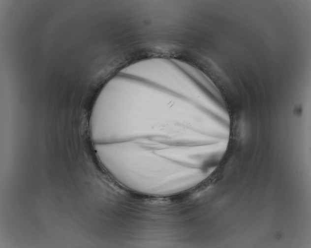 X0000090870318200708241925